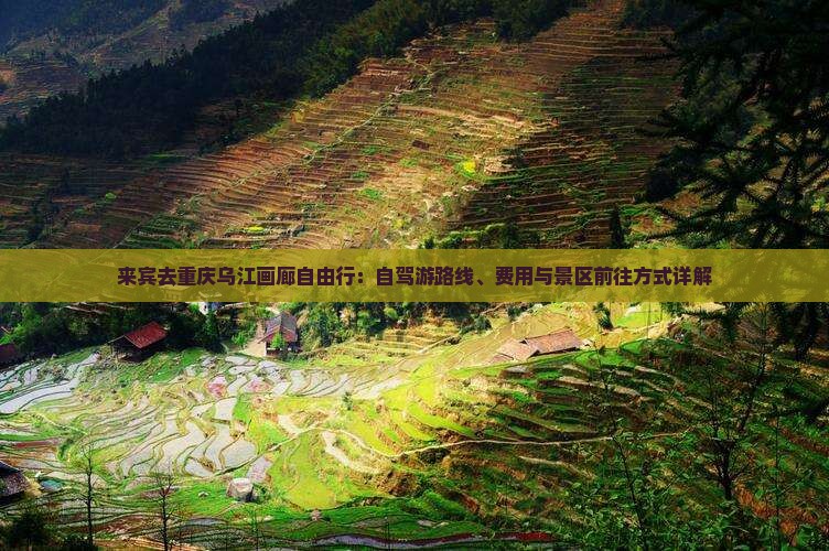 来宾去重庆乌江画廊自由行：自驾游路线、费用与景区前往方式详解