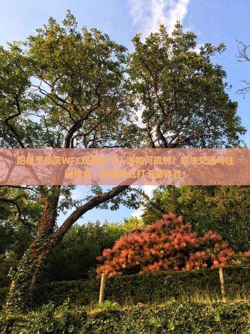 阳泉至重庆WFC观景台个人游如何规划？解决交通与住宿痛点，解锁网红打卡新体验！