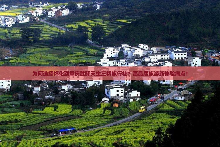为何选择怀化到重庆武隆天生三桥旅行社？高品质旅游新体验痛点！