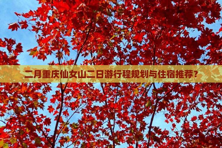 二月重庆仙女山二日游行程规划与住宿推荐？