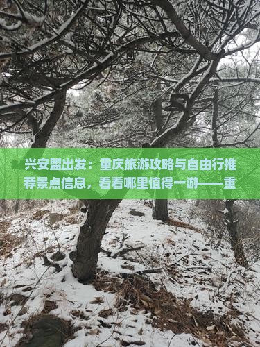 兴安盟出发：重庆旅游攻略与自由行推荐景点信息，看看哪里值得一游——重庆旅游景点旅行社精选指南
