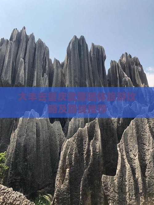 大丰去重庆武隆团体旅游攻略及路线推荐