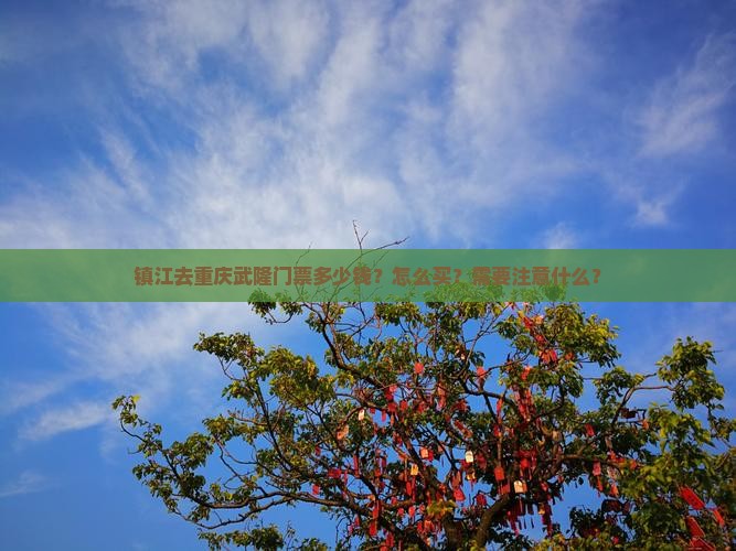 镇江去重庆武隆门票多少钱？怎么买？需要注意什么？