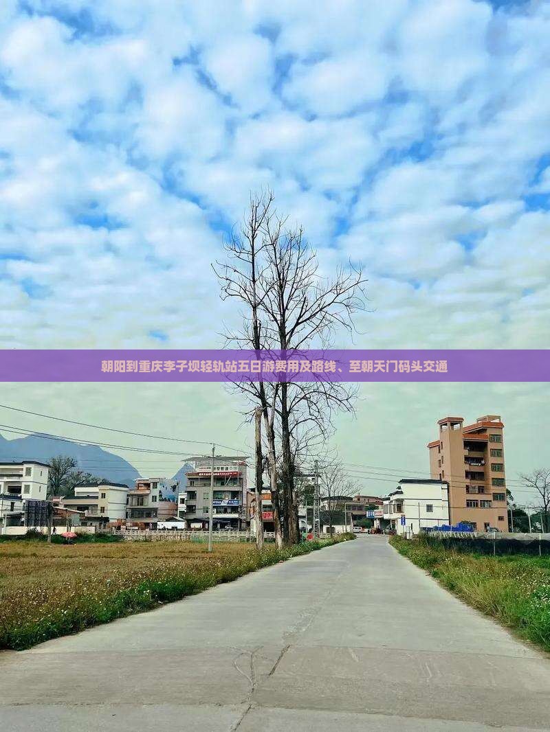 朝阳到重庆李子坝轻轨站五日游费用及路线、至朝天门码头交通