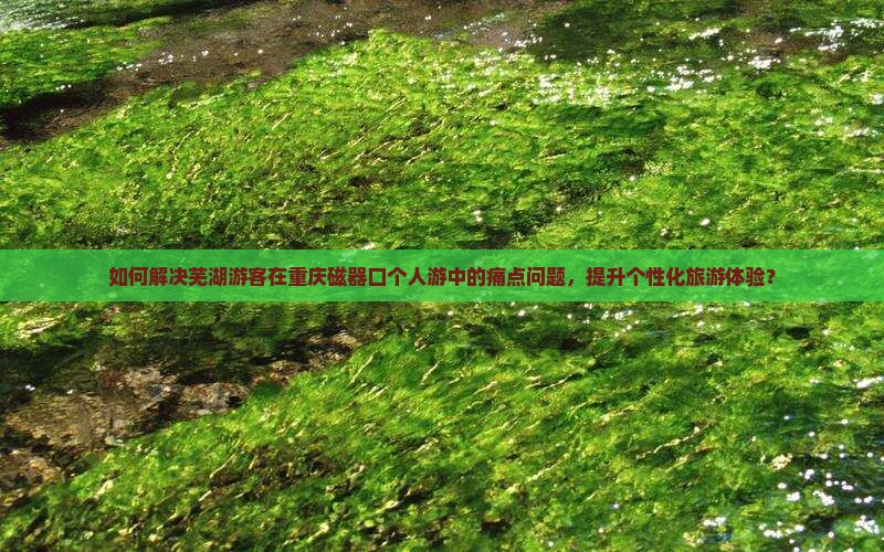 如何解决芜湖游客在重庆磁器口个人游中的痛点问题，提升个性化旅游体验？
