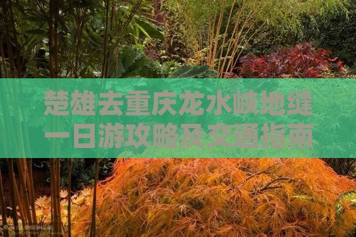 楚雄去重庆龙水峡地缝一日游攻略及交通指南