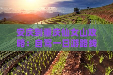 安庆到重庆仙女山攻略：自驾一日游路线