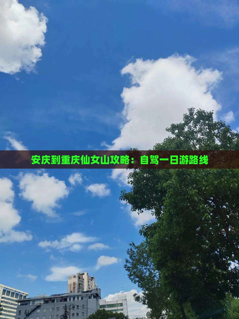 安庆到重庆仙女山攻略：自驾一日游路线