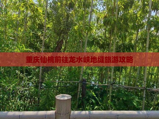 重庆仙桃前往龙水峡地缝旅游攻略