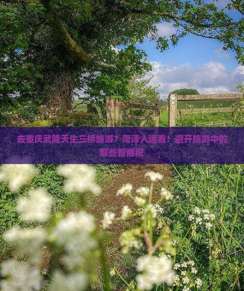 去重庆武隆天生三桥旅游？菏泽人速看！避开旅游中的那些智商税