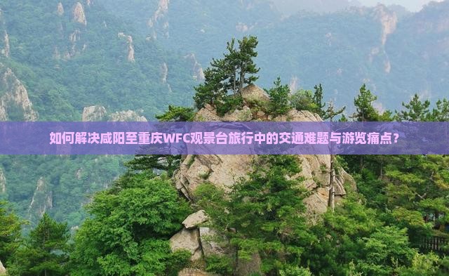 如何解决咸阳至重庆WFC观景台旅行中的交通难题与游览痛点？