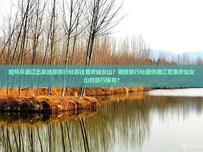 如何从通辽出发选择旅行社前往重庆仙女山？哪些旅行社提供通辽至重庆仙女山的旅行服务？