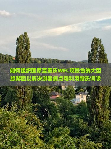 如何组织固原至重庆WFC观景台的大型旅游团以解决游客痛点和利用新热词吸引更多关注？