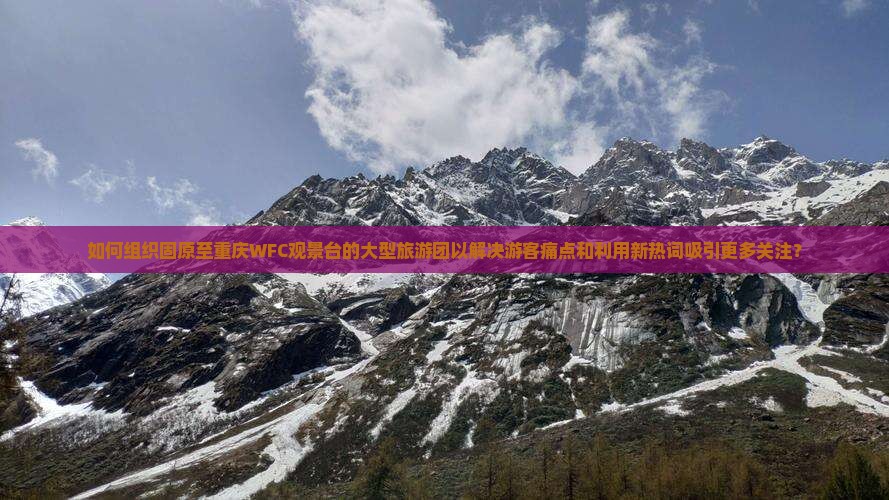 如何组织固原至重庆WFC观景台的大型旅游团以解决游客痛点和利用新热词吸引更多关注？