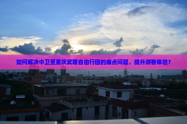 如何解决中卫至重庆武隆自由行团的痛点问题，提升游客体验？