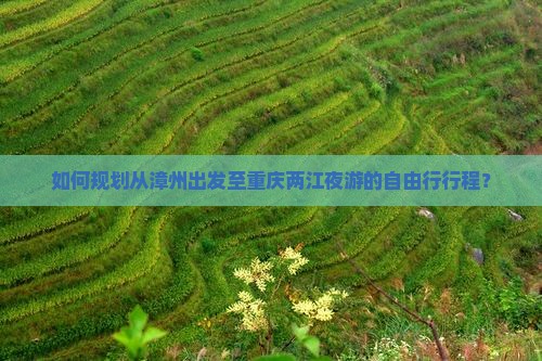 如何规划从漳州出发至重庆两江夜游的自由行行程？