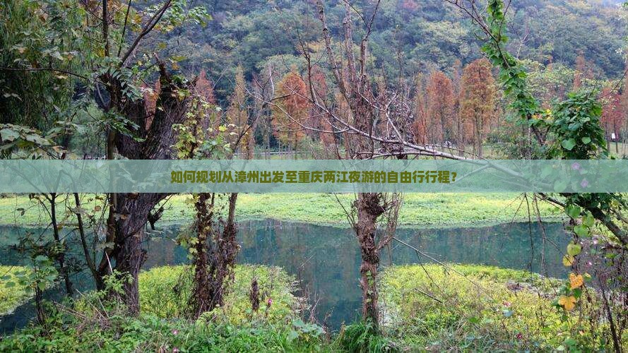 如何规划从漳州出发至重庆两江夜游的自由行行程？