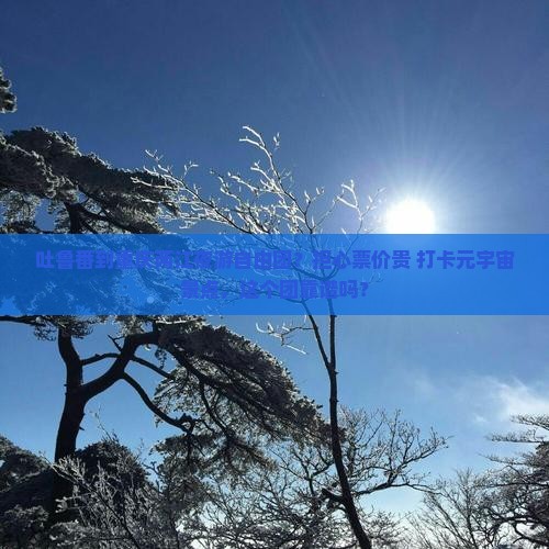 吐鲁番到重庆两江夜游自由团？担心票价贵+打卡元宇宙景点，这个团靠谱吗？