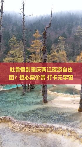 吐鲁番到重庆两江夜游自由团？担心票价贵+打卡元宇宙景点，这个团靠谱吗？