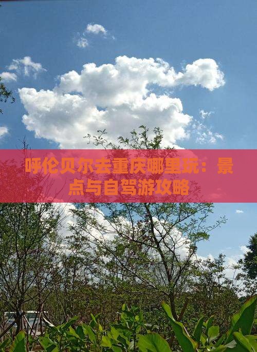 呼伦贝尔去重庆哪里玩：景点与自驾游攻略