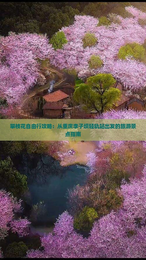 攀枝花自由行攻略：从重庆李子坝轻轨站出发的旅游景点指南