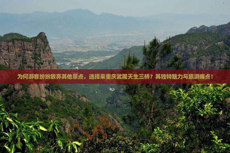 为何游客纷纷放弃其他景点，选择来重庆武隆天生三桥？其独特魅力与旅游痛点！
