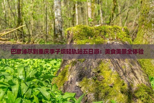 巴彦淖尔到重庆李子坝轻轨站五日游：美食美景全体验