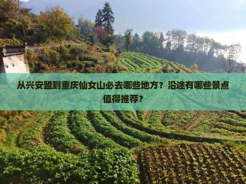 从兴安盟到重庆仙女山必去哪些地方？沿途有哪些景点值得推荐？