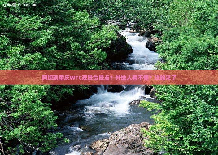 阿坝到重庆WFC观景台景点？外地人看不懂？攻略来了