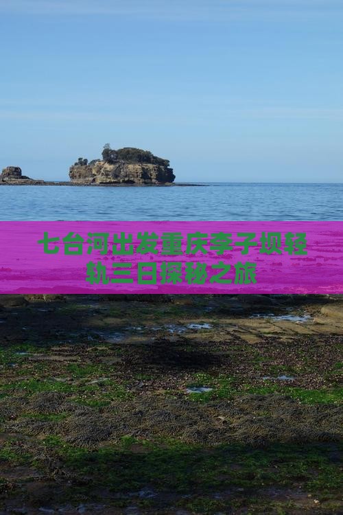 七台河出发重庆李子坝轻轨三日探秘之旅