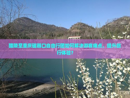 醴陵至重庆磁器口自由行团如何解决游客痛点，提升旅行体验？