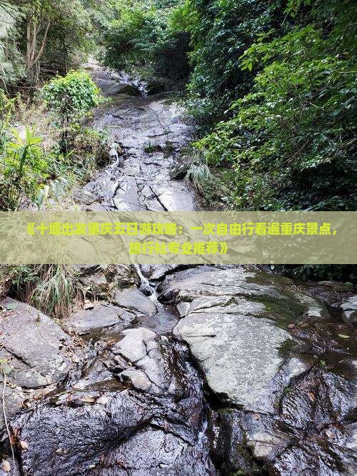 《十堰出发重庆五日游攻略：一次自由行看遍重庆景点，旅行社专业推荐》