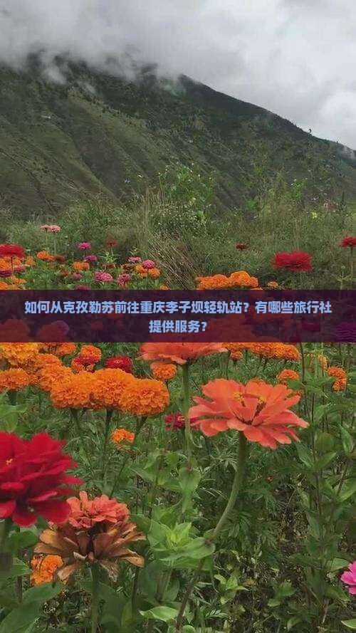 如何从克孜勒苏前往重庆李子坝轻轨站？有哪些旅行社提供服务？