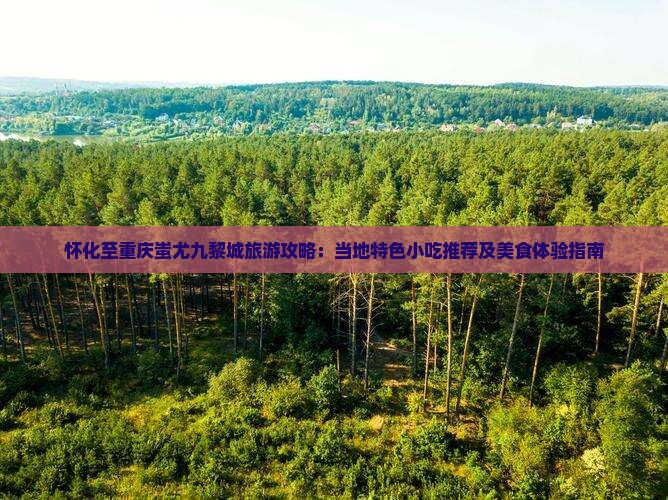 怀化至重庆蚩尤九黎城旅游攻略：当地特色小吃推荐及美食体验指南