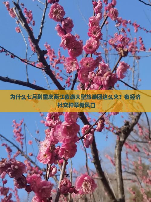 为什么七月到重庆两江夜游大型旅游团这么火？夜经济+社交种草新风口