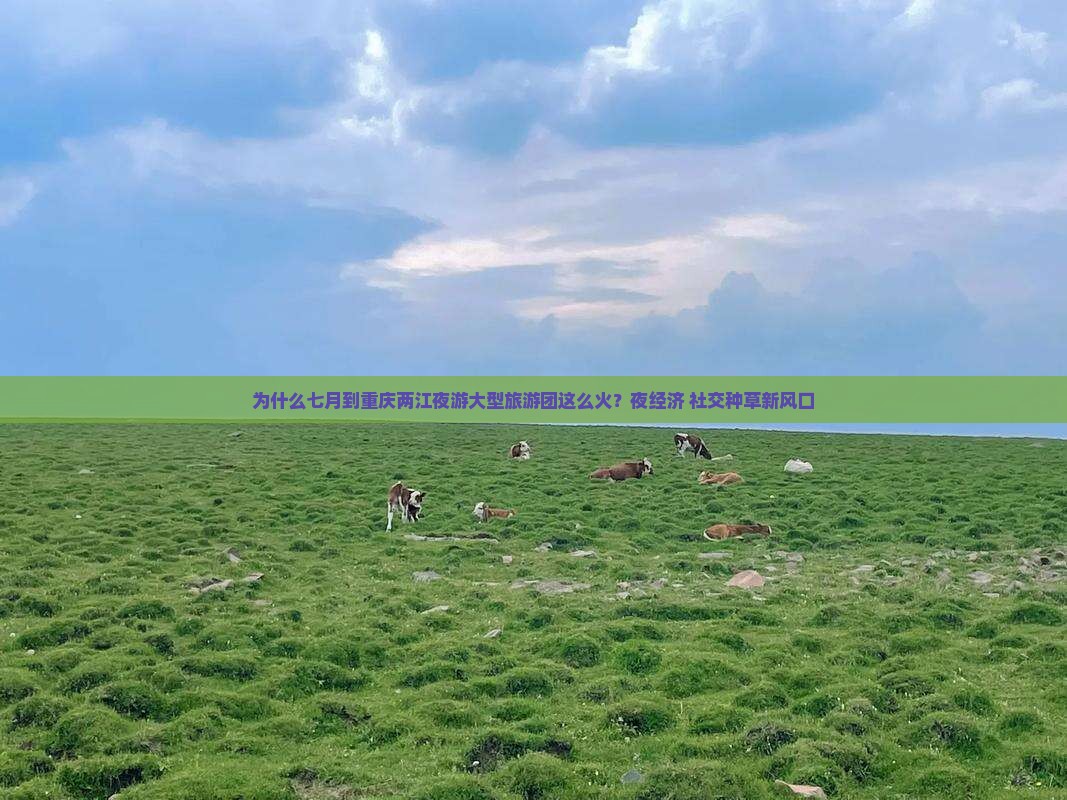 为什么七月到重庆两江夜游大型旅游团这么火？夜经济+社交种草新风口