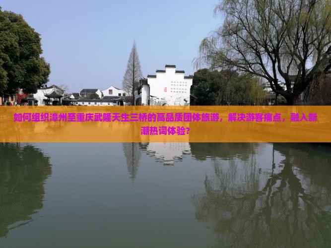 如何组织漳州至重庆武隆天生三桥的高品质团体旅游，解决游客痛点，融入新潮热词体验？