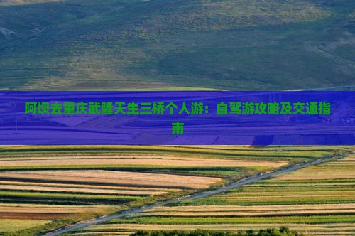 阿坝去重庆武隆天生三桥个人游：自驾游攻略及交通指南