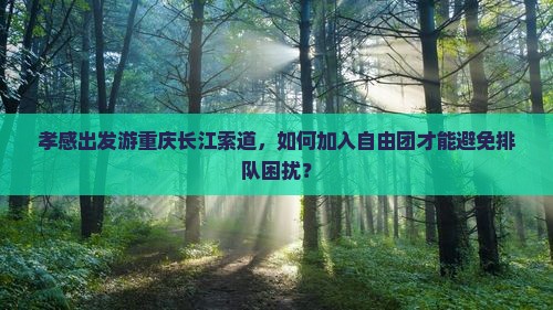 孝感出发游重庆长江索道，如何加入自由团才能避免排队困扰？