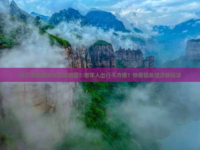 哈尔滨到重庆大型旅游团？老年人出行不方便？快看银发经济新玩法