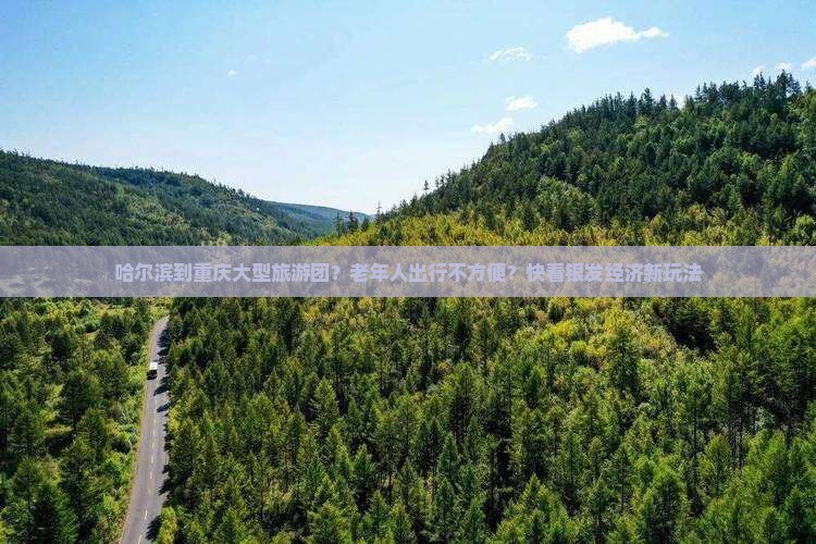 哈尔滨到重庆大型旅游团？老年人出行不方便？快看银发经济新玩法