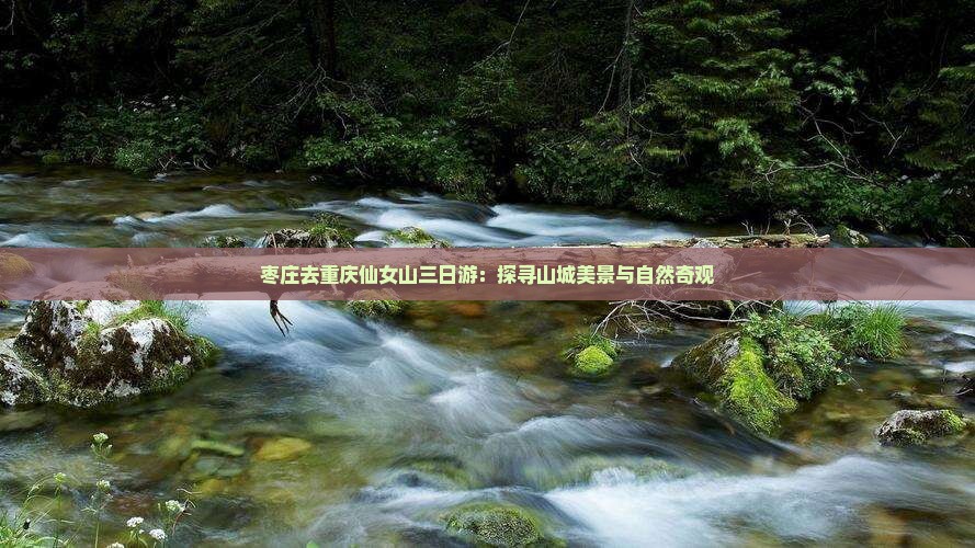 枣庄去重庆仙女山三日游：探寻山城美景与自然奇观