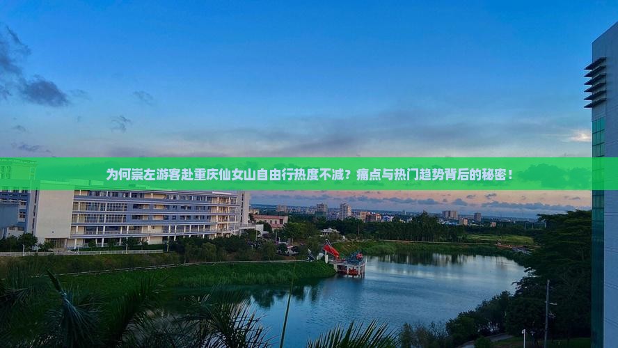 为何崇左游客赴重庆仙女山自由行热度不减？痛点与热门趋势背后的秘密！