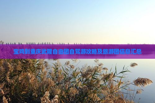 宝鸡到重庆武隆自由团自驾游攻略及旅游团信息汇总