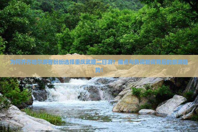 为何齐齐哈尔游客纷纷选择重庆武隆二日游？痛点与热词新词背后的旅游趋势！