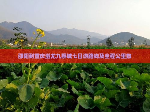 邵阳到重庆蚩尤九黎城七日游路线及全程公里数