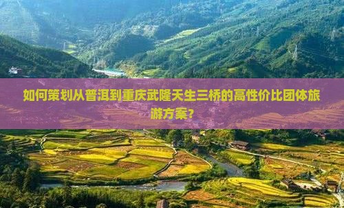 如何策划从普洱到重庆武隆天生三桥的高性价比团体旅游方案？