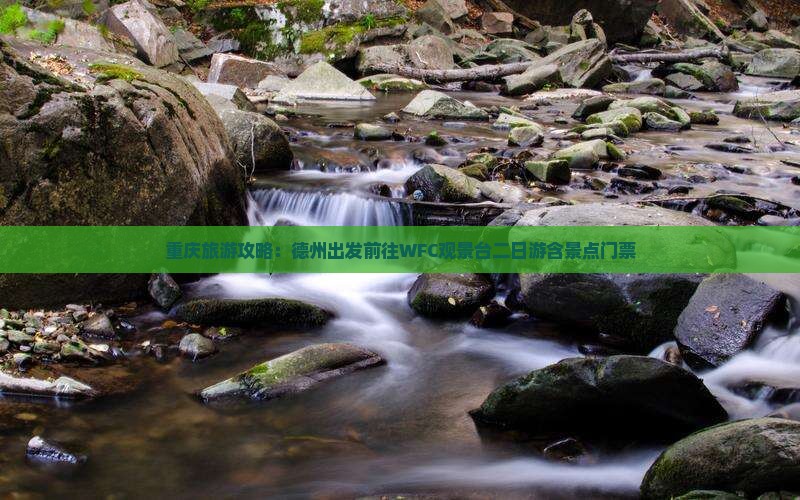 重庆旅游攻略：德州出发前往WFC观景台二日游含景点门票