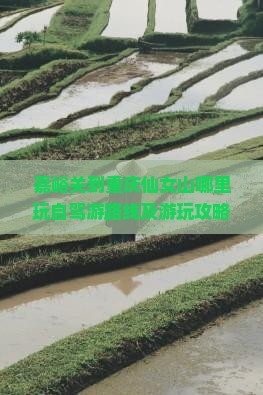 嘉峪关到重庆仙女山哪里玩自驾游路线及游玩攻略