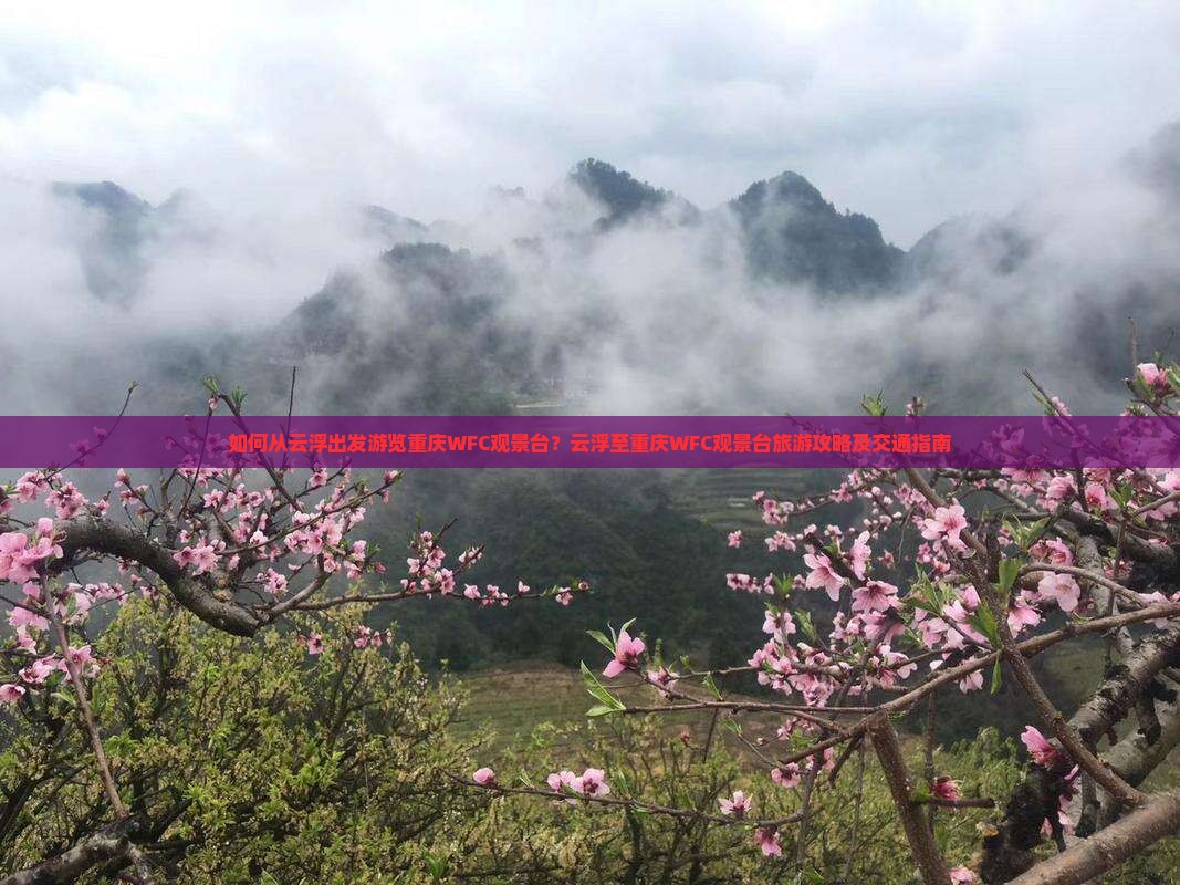 如何从云浮出发游览重庆WFC观景台？云浮至重庆WFC观景台旅游攻略及交通指南